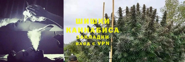 сатива Киренск